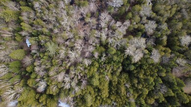 DJI_0092