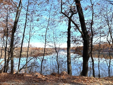 VL 0 Burroughs Flat River Backwater View