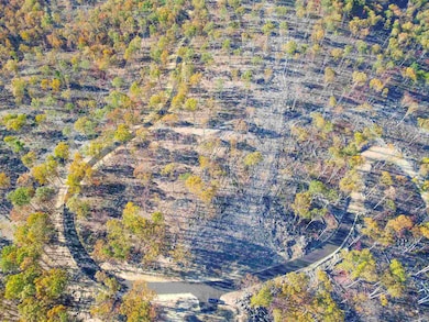 tbd1 Calf Mountain Rd, Waynesboro, VA 22980 - photo 2