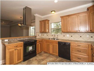Kitchen View 2