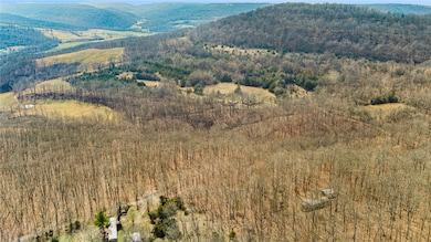 15675 Hazel Valley Wc 47 Rd, Fayetteville, AR 72701 - photo 3