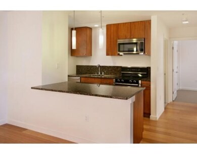 Audubon Park unit 609, Boston, MA 02215 - photo 3
