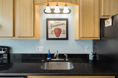 425 Maple Brook Rd unit 425, Bellingham, MA 02019 - photo 6