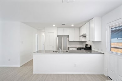 12942 Deep Eddy, Saint Hedwig, TX 78152 - photo 7