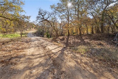 3095 Carter Rd, Springtown, TX 76082 - photo 5