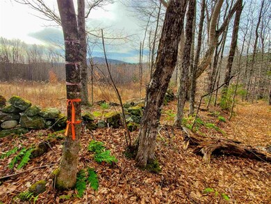 1715 Kittridge Pasture Rd, Reading, VT 05062 - photo 4