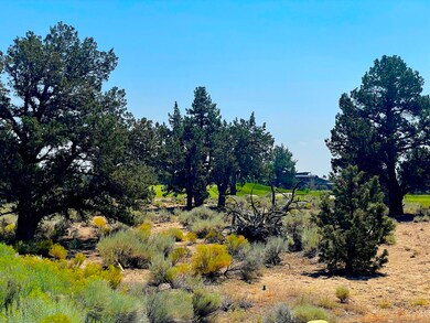 23123 Switchback Court View 3