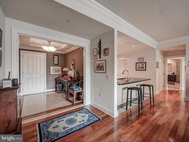 The Ritz-Carlton Residences, Baltimore, MD 21230 - photo 5