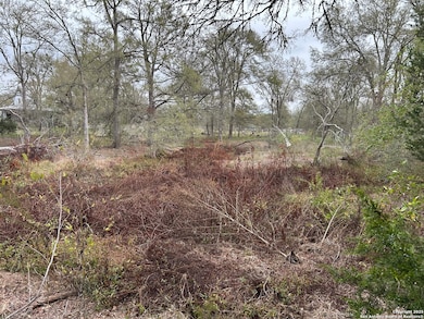 141 N Eskew Ln, Wyldwood, TX 78612 - photo 3