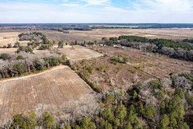 13669 Georgia 93, Baconton, GA 31716 - photo 3