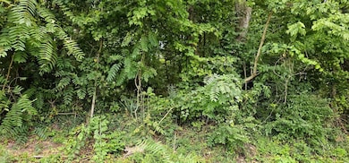 TBD Green Spring Rd, Abingdon, VA 24211 - photo 2