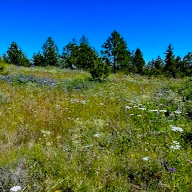 Lot A Kronos Short Plat Ln, Davenport, WA 99122 - photo 5