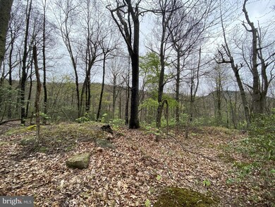Lot 69 Helmick Rock Run, Lost River, WV 26812 - photo 2