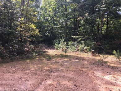 0 Pepper Bush Rd unit 919357, Purlear, NC 28665 - photo 2