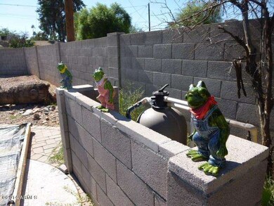 BACKYARD (1)