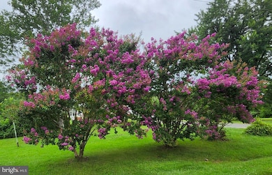 13206 Golden Dr, Sumerduck, VA 22742 - photo 7