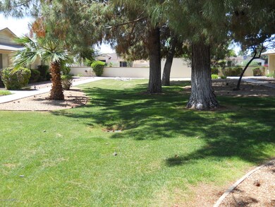 Grass in Front Courtyard