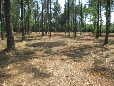 PULLIAM after mowing 003