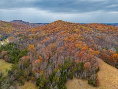 1186 Tulip Rd, Lynx, OH 45650 - photo 3