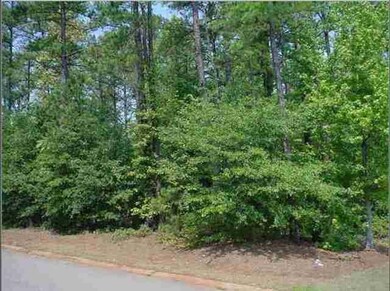 208 Port Side Way, Inman, SC 29349 - photo 3