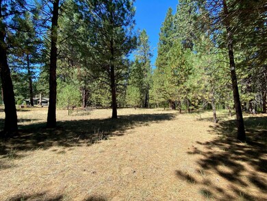 Woods5