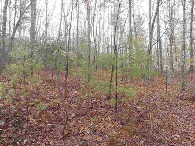 1e Watermelon Way unit Fiddlers Cove, Tract, Tamassee, SC 29686 - photo 4