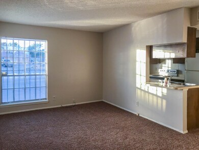 10720 Forest Ridge Ln unit D, El Paso, TX 79935 - photo 5