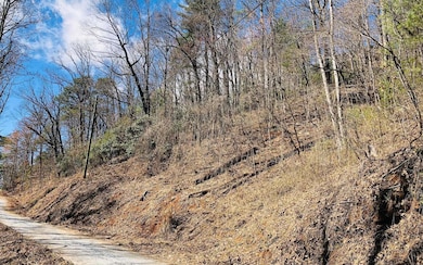 Additional View