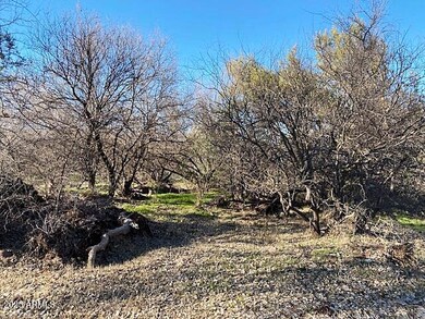 0 S Tonto Creek Dr unit 391, Payson, AZ 85541 - photo 4