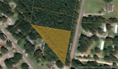 TBD Bostic (Lot 14) Rd, Laurinburg, NC 28352 - photo 3