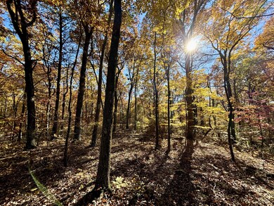 0 Harrison Ferry Rd unit RTC2813087, McMinnville, TN 37110 - photo 2