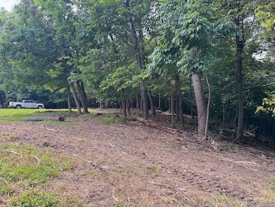 16487 Flint Ridge Rd SE, Hopewell Township, OH 43056 - photo 4