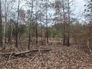 0 Indian Pipe Run, Palmyra, VA 22963 - photo 3