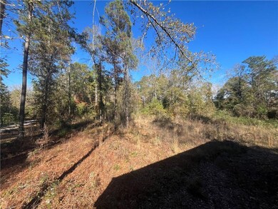 0 Rock Hill Rd unit 2534323, Bentley, LA 71407 - photo 5