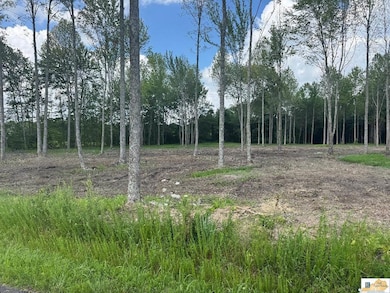 0 Gaskin Ln, Jamestown, KY 42629 - photo 7