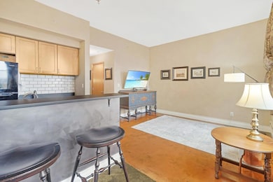 488 Wabasha St N unit 606, Saint Paul, MN 55102 - photo 6