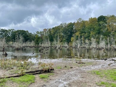 0 Buffalo Creek Rd unit 25806402, Carrollton, GA 30117 - photo 5