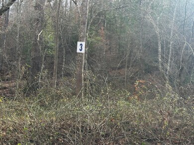 Lot 3 Radford Rd, East Bernstadt, KY 40729 - photo 6