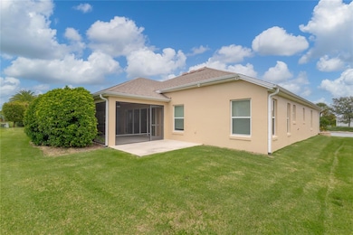 Back patio and private screened lanai