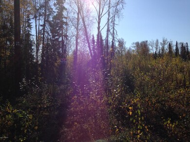 2207 S Ronnie Ct, Big Lake, AK 99654 - photo 2