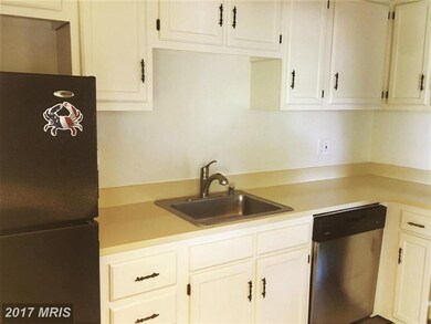 207 Erin Way unit 303, Reisterstown, MD 21136 - photo 3