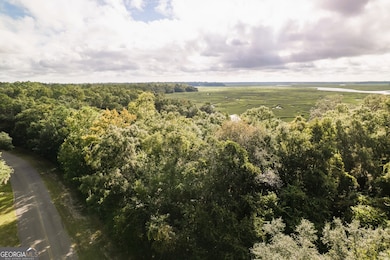 0 Sheffield Island Rd unit 3, Woodbine, GA 31569 - photo 4