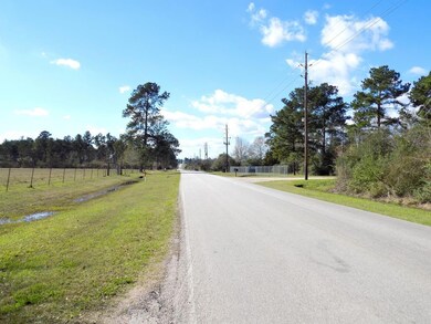 33100 Old Hempstead, Magnolia, TX 77355 - photo 3