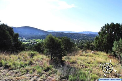 34 Oxbow, Silver City, NM 88061 - photo 6