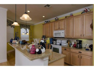 21600 Belgian Ct, Mount Dora, FL 32757 - photo 6