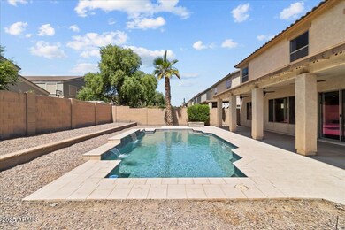 Pool & Covered Patio