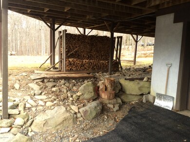 Plenty of split wood & kindling