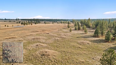 TBD N Ritchey Rd, Nine Mile Falls, WA 99026 - photo 7