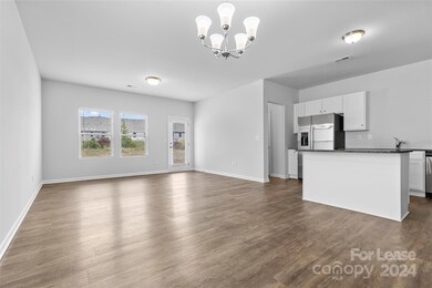 158 Briana Marie Way, Indian Trail, NC 28079 - photo 2