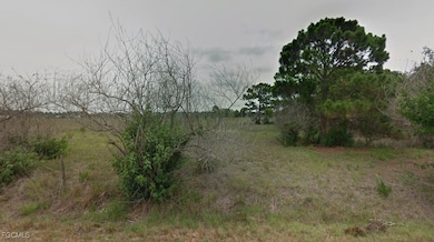 545 N Olivo St, Montura Ranches, FL 33440 - photo 3